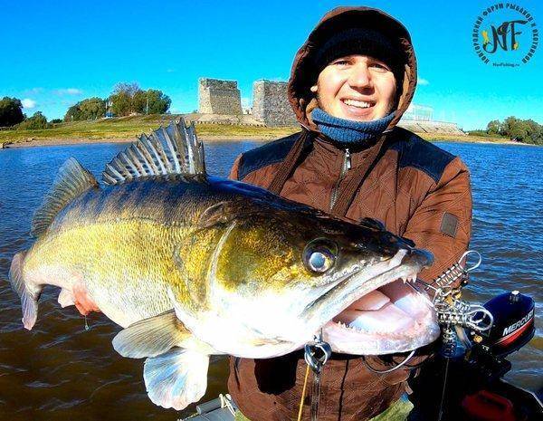 Судаколодон (19 of 1).jpg