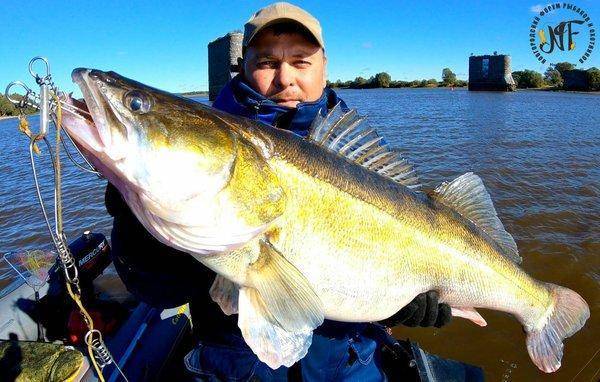 Судаколодон (16 of 1).jpg