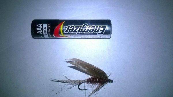 марч браун еще сухая.jpg