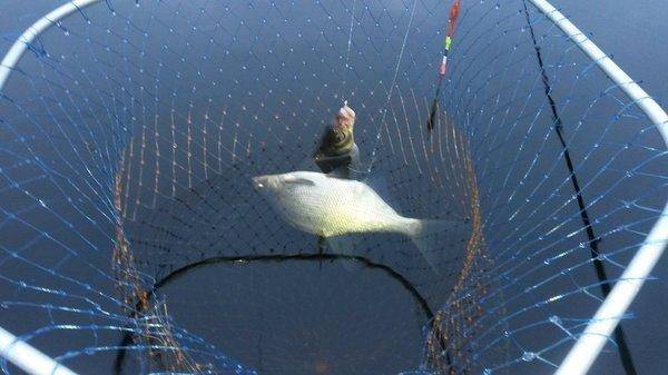 Закрытие лещевого сезона 21октября 2018 007.jpg