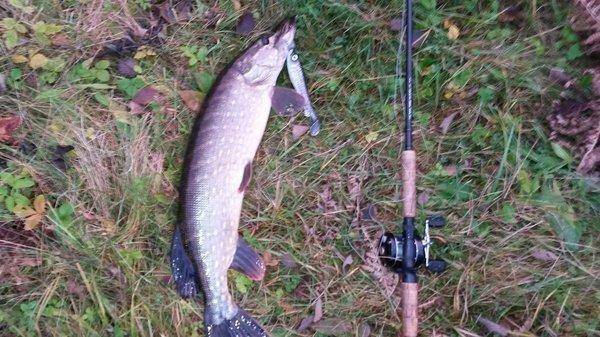 Супер рыбалка на Джерки и на крупную резину 18октября 2018 044.jpg