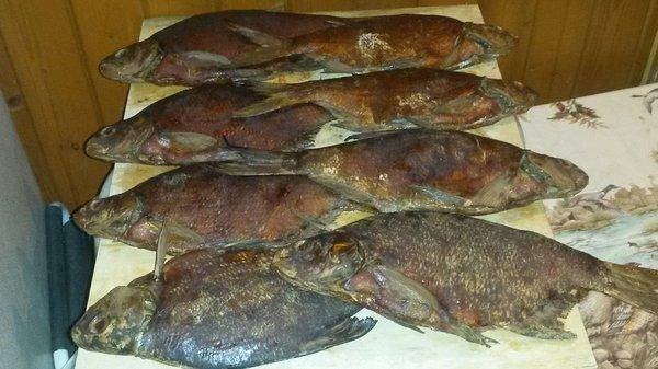 Осенний лещ 003.jpg