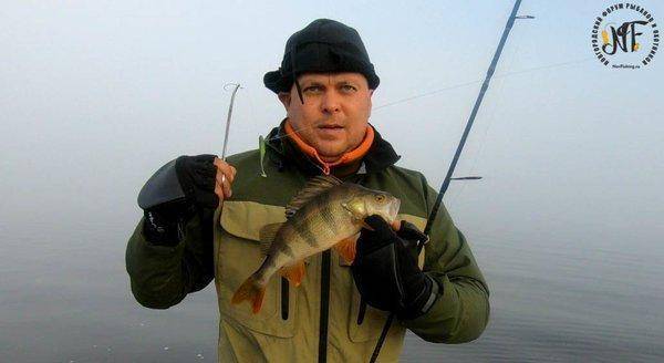 жироокунь (9 of 1).jpg