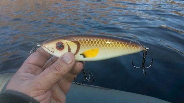 Супер рыбалка на Джерки и на крупную резину 18октября 2018 005.jpg