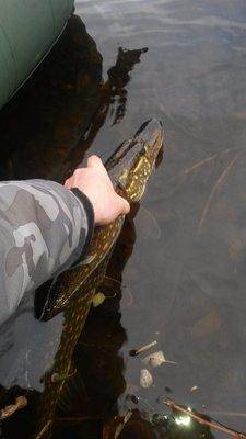 Рыбалка 19октября 2018 005.jpg