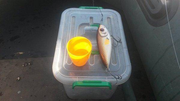 Супер рыбалка на Джерки и на крупную резину 18октября 2018 012.jpg