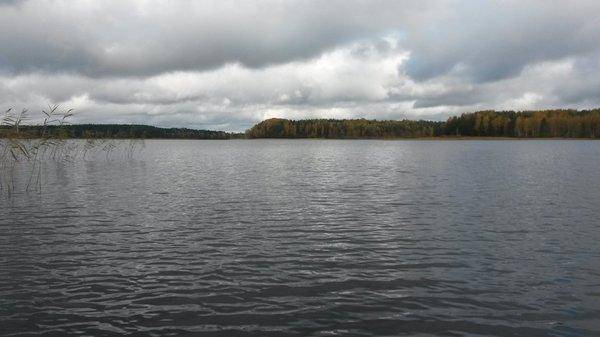 Боровно 8октября 2018 005.jpg