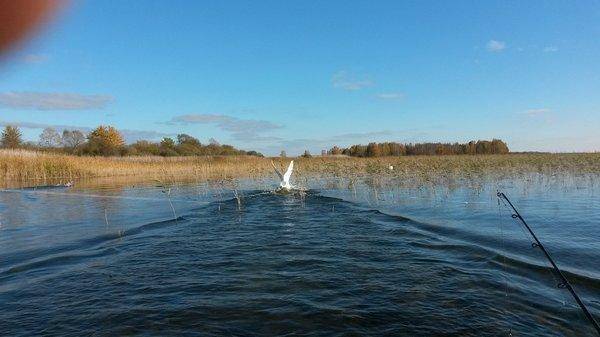 Браславы 11-15 октября 2018 001.jpg