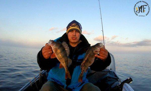 жироокунь (11 of 1).jpg