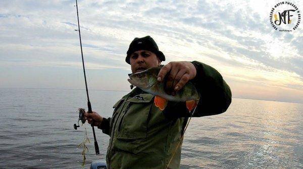 крупныйокунь (9 of 1).jpg