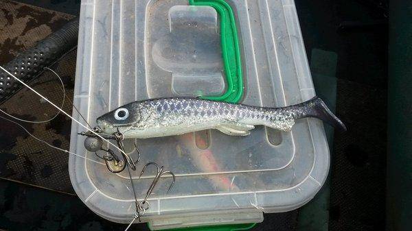 Супер рыбалка на Джерки и на крупную резину 18октября 2018 028.jpg