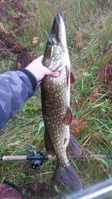 Рыбалка 19октября 2018 003.jpg