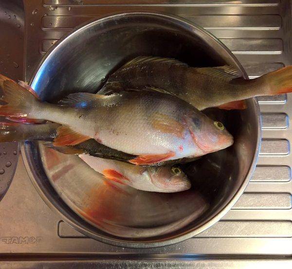 WP_20181218_13_07_04_Rich (2).jpg