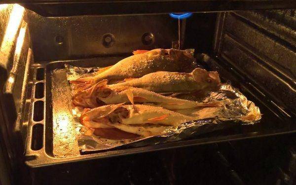 WP_20181218_17_37_40_Rich (2).jpg