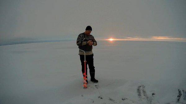 нач клева.jpg