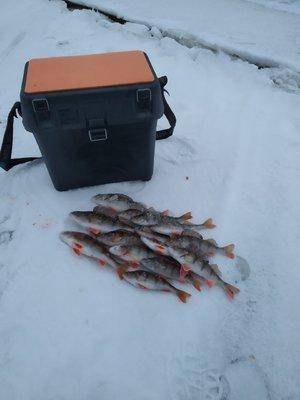 BNqMZmTv700.thumb.jpg.564481968788120de2