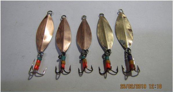 Мои клопы-1.JPG