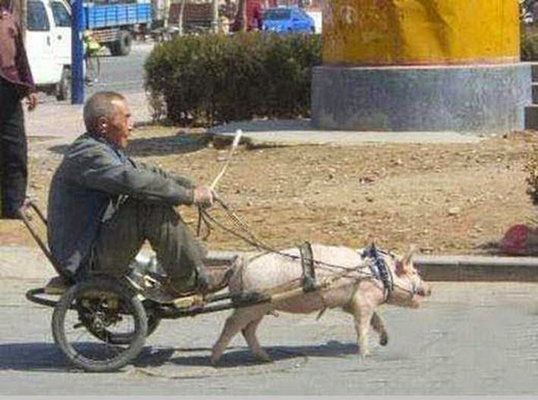 bizmac_full_06182015_041821 (1).jpg