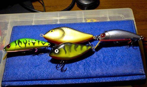 Изображение 004_1.jpg