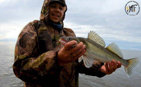 1184071256_(11of1).thumb.jpg.46cbbbeef2b