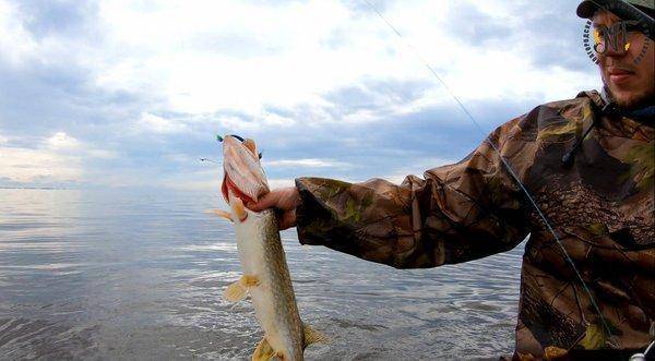 1480785283_(14of1).thumb.jpg.f7c874e56b3