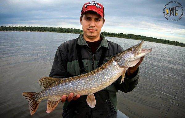 1721033482_(15of1).thumb.jpg.7e72c7c38fc