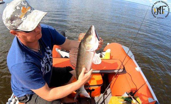 Супер-судак (14 of 1).jpg