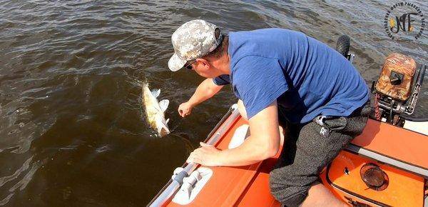 Супер-судак (10 of 1).jpg