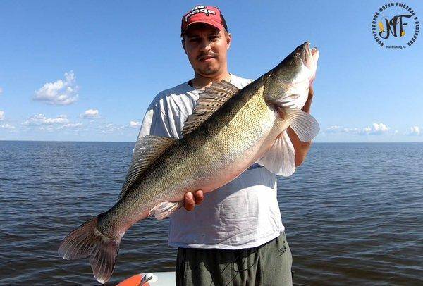 Супер-судак (25 of 1).jpg