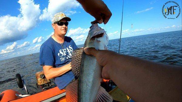 Супер-судак (20 of 1).jpg