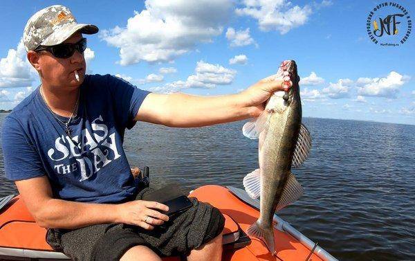 Супер-судак (8 of 1).jpg