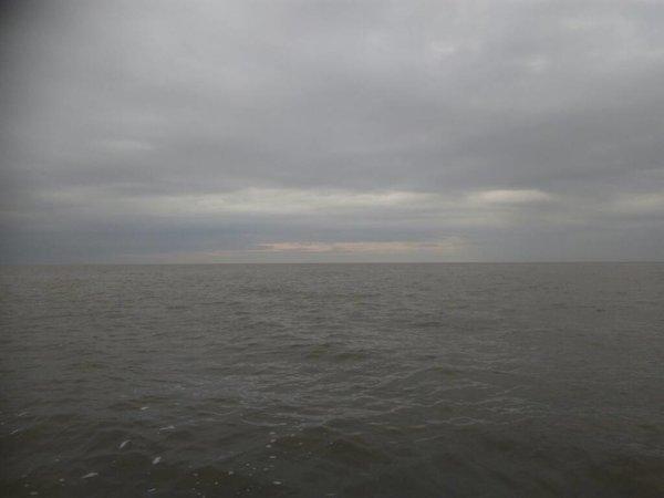 IMG_20190824_084510.thumb.jpg.e19c773b96