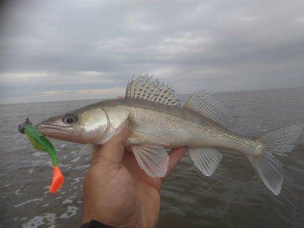 IMG_20190824_084730.thumb.jpg.a24a7daff8