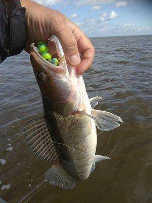 IMG_20190824_135925.thumb.jpg.84b8e1bd94