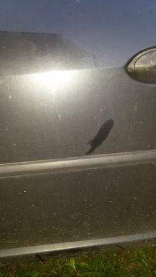 дверь  старого.jpg