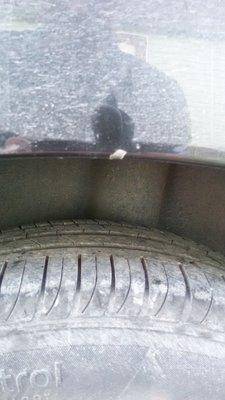 крыло нового1.jpg