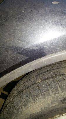 крыло старого.jpg