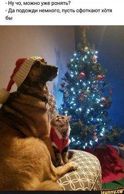 ронять елку.jpg