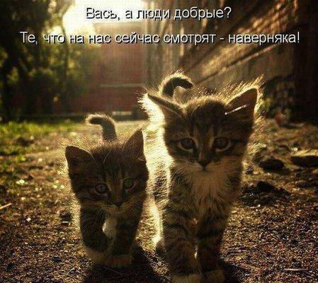 Вась,  а люди добрые.jpg