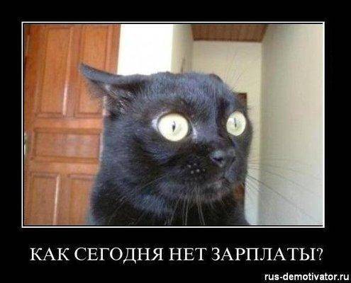 Зарплата.jpg