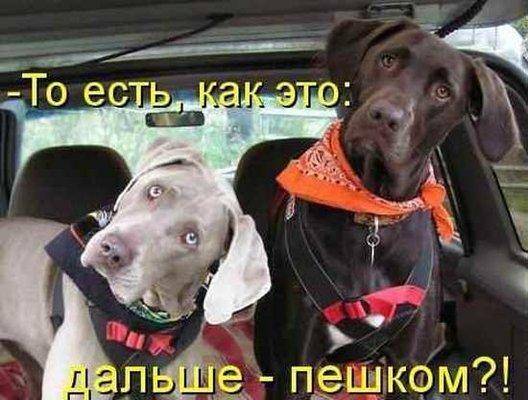 Как это пешком.jpg