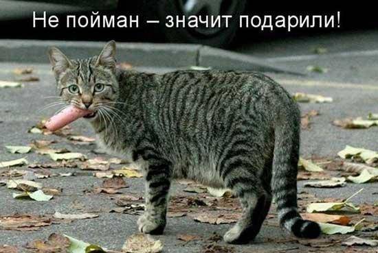 Не пойман.jpg