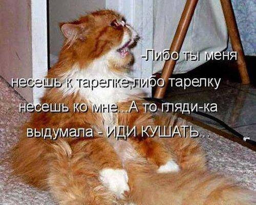 Иди кушать.jpg