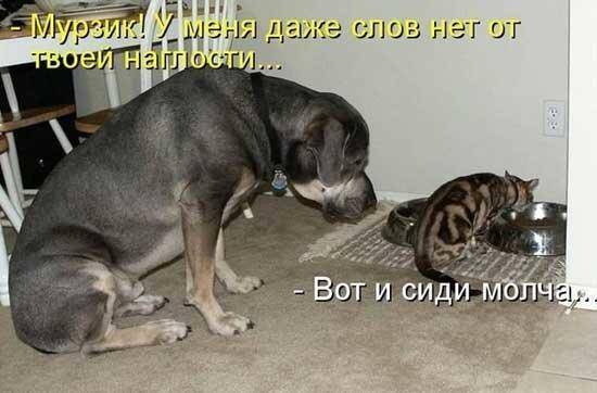 Сиди молча.jpg