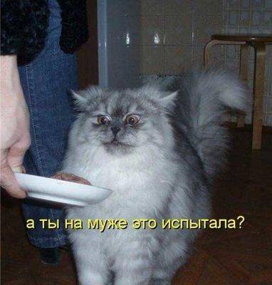 Проверь на муже.jpg