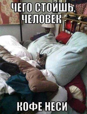 Кофе неси.jpg