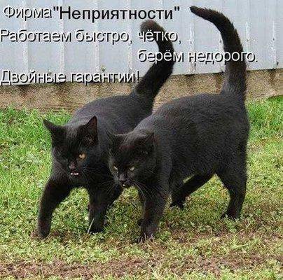 Фирма неприятности.jpg