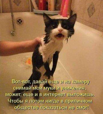 Снимай на камеру.jpg