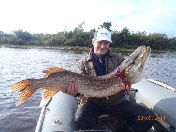 щыка10кг 022.JPG