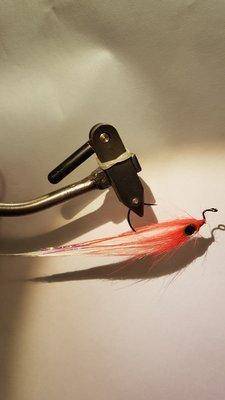 Тампакс вульгариус.jpg